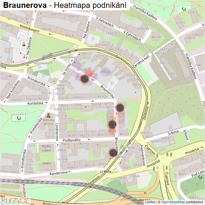 Mapa Braunerova - Firmy v ulici.
