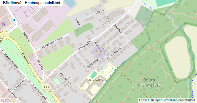 Břidlicová - mapa podnikání