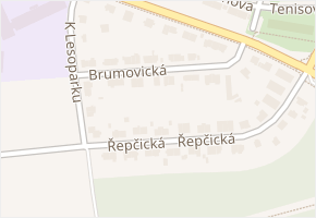 Brumovická v obci Praha 3 - mapa ulice