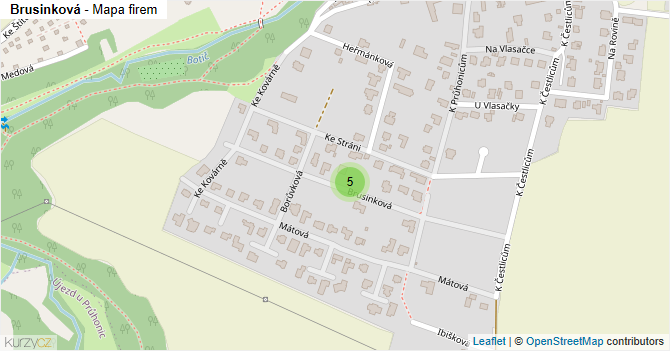 Brusinková - mapa firem