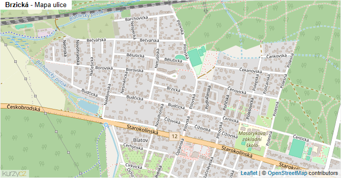 Brzická - mapa ulice