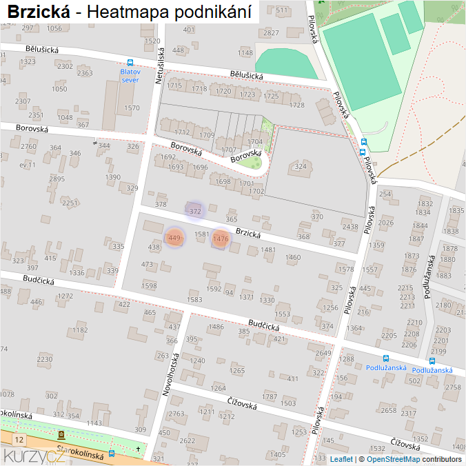 Mapa Brzická - Firmy v ulici.