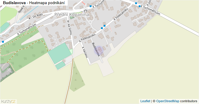 Budislavova - mapa podnikání