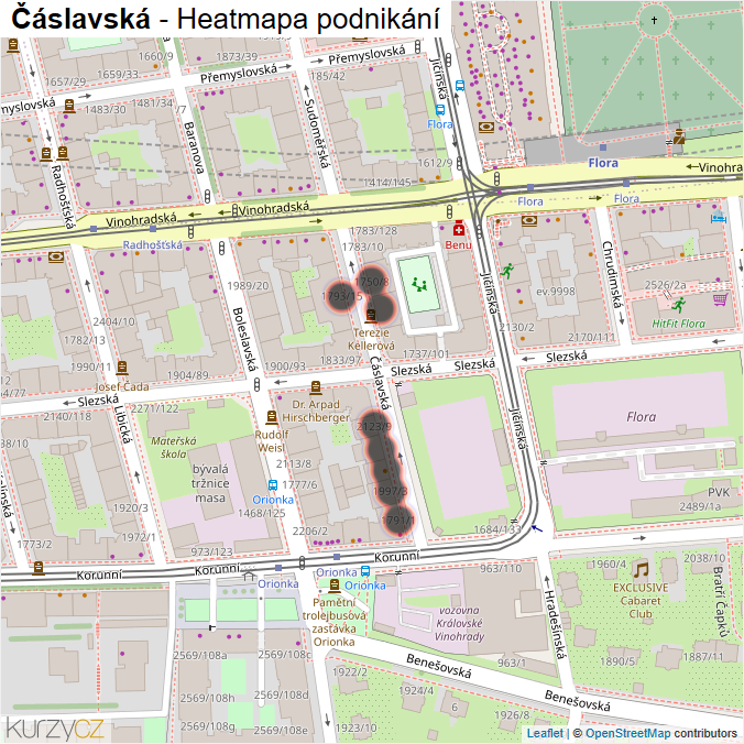 Mapa Čáslavská - Firmy v ulici.