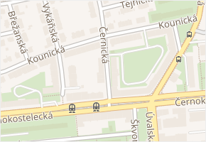 Černická v obci Praha 2 - mapa ulice