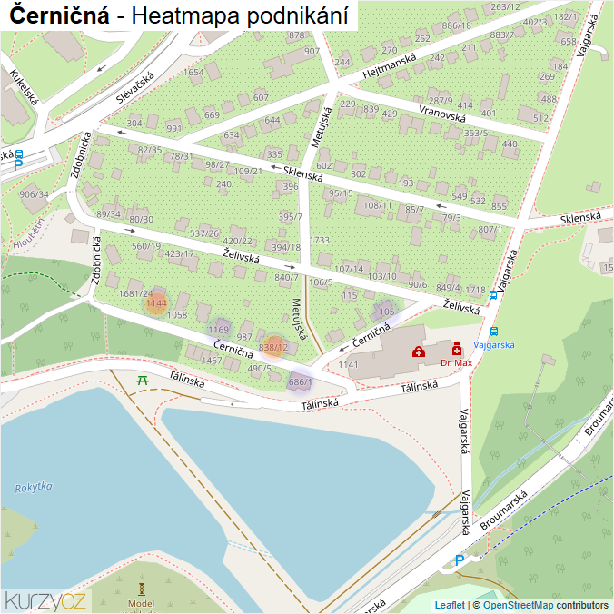 Mapa Černičná - Firmy v ulici.