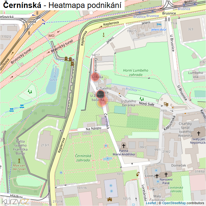 Mapa Černínská - Firmy v ulici.