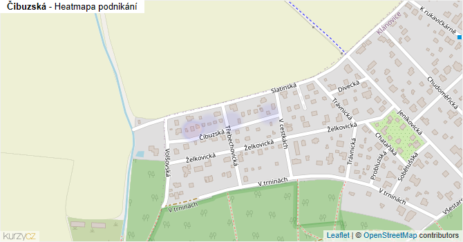 Čibuzská - mapa podnikání
