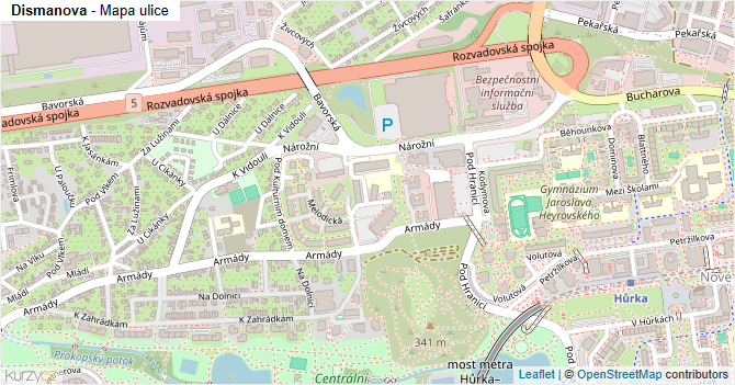 Dismanova - mapa ulice