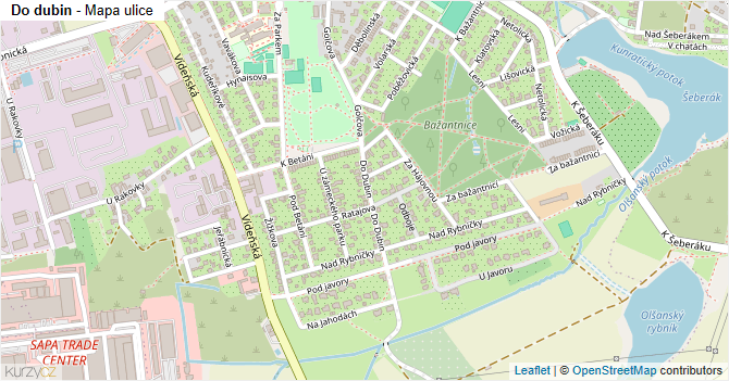 Do dubin - mapa ulice