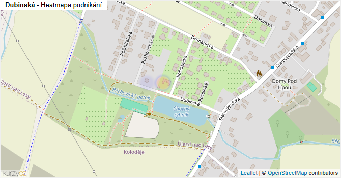 Dubinská - mapa podnikání