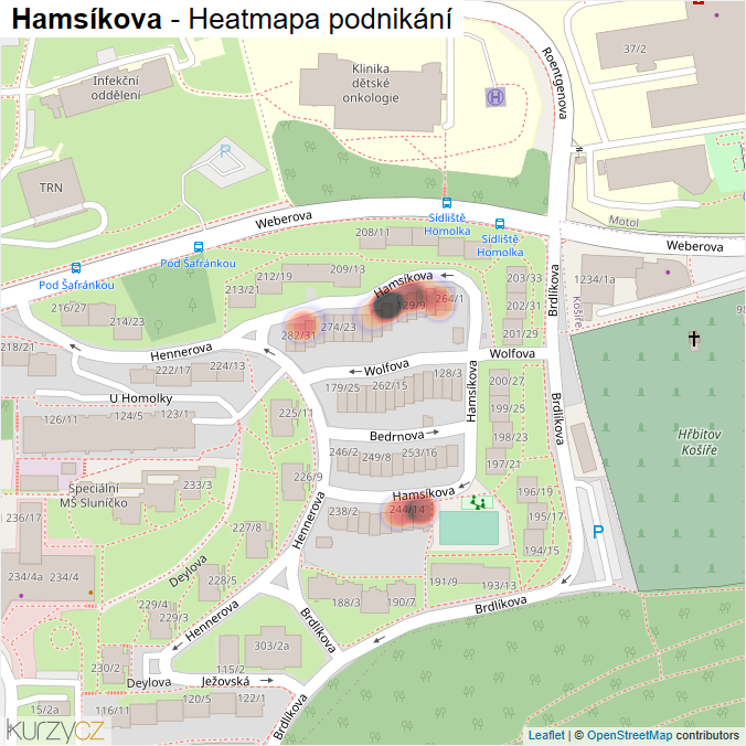Mapa Hamsíkova - Firmy v ulici.