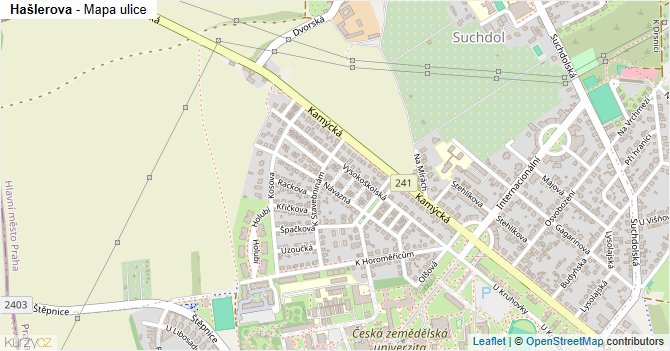 Hašlerova - mapa ulice