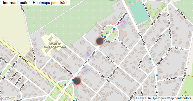 Internacionální - mapa podnikání