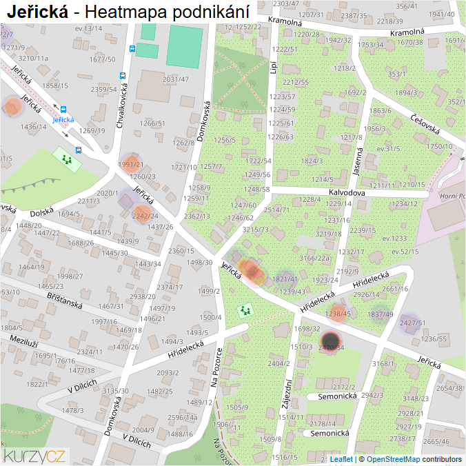 Mapa Jeřická - Firmy v ulici.
