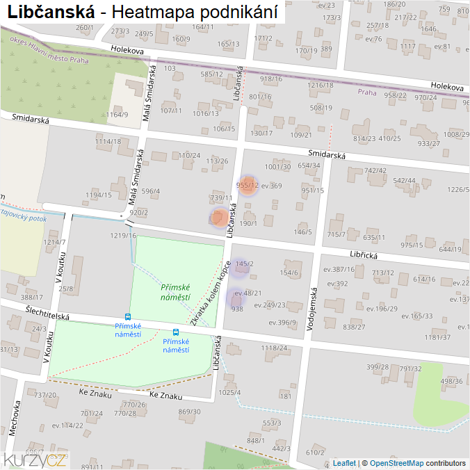 Mapa Libčanská - Firmy v ulici.