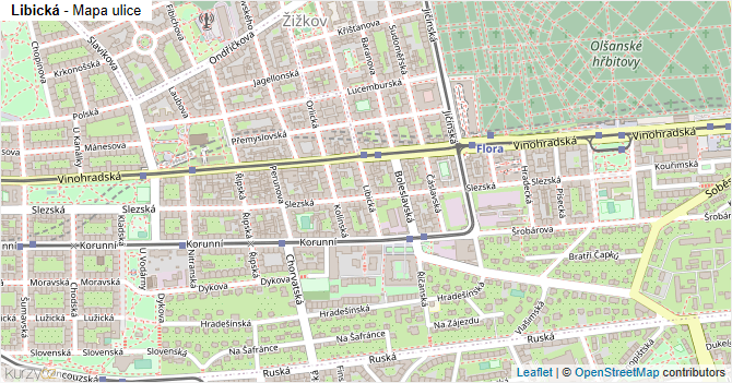 Libická - mapa ulice