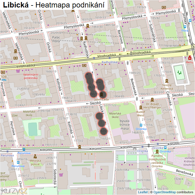 Mapa Libická - Firmy v ulici.