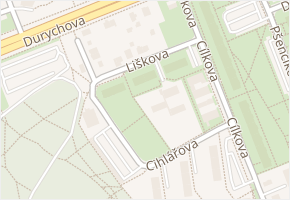 Liškova v obci Praha 1 - mapa ulice