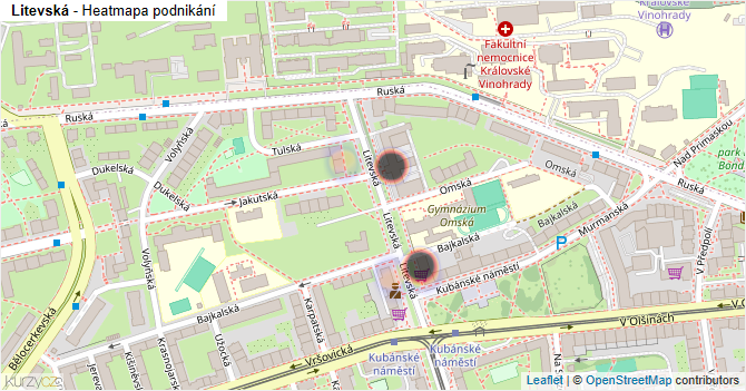 Litevská - mapa podnikání