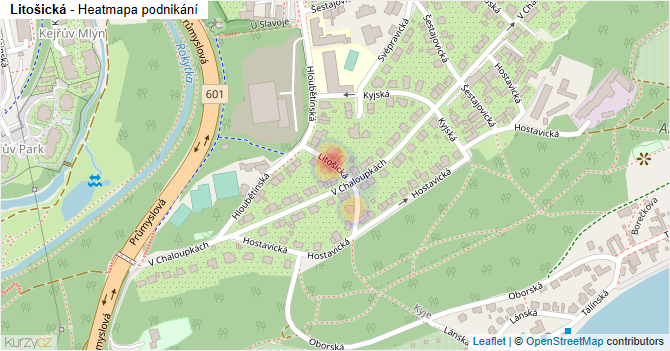 Litošická - mapa podnikání
