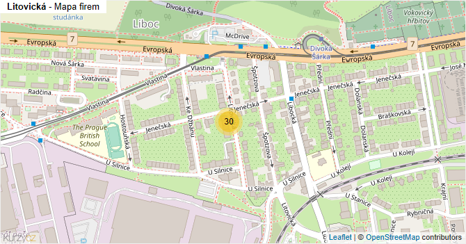 Litovická - mapa firem