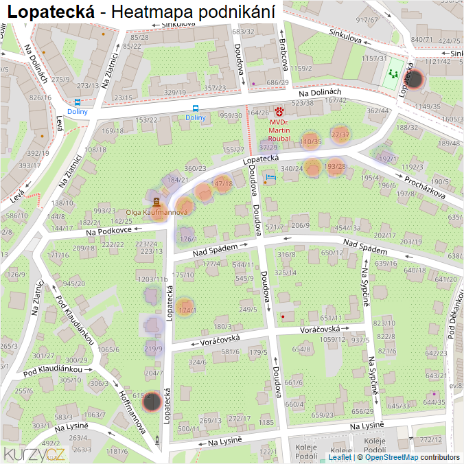 Mapa Lopatecká - Firmy v ulici.