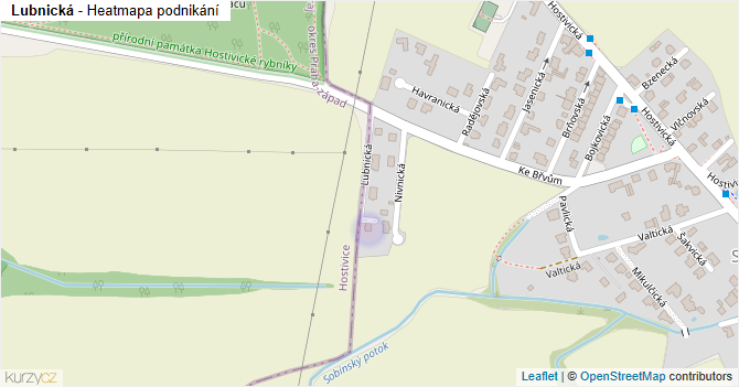 Lubnická - mapa podnikání