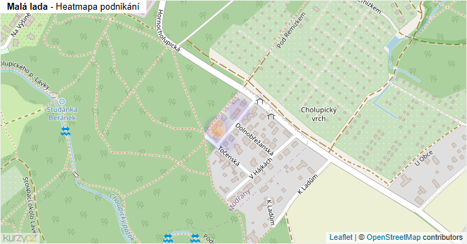 Malá lada - mapa podnikání