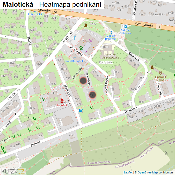 Mapa Malotická - Firmy v ulici.