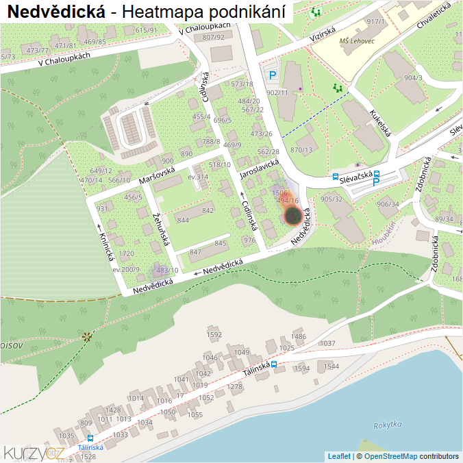 Mapa Nedvědická - Firmy v ulici.