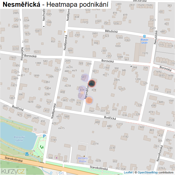 Mapa Nesměřická - Firmy v ulici.