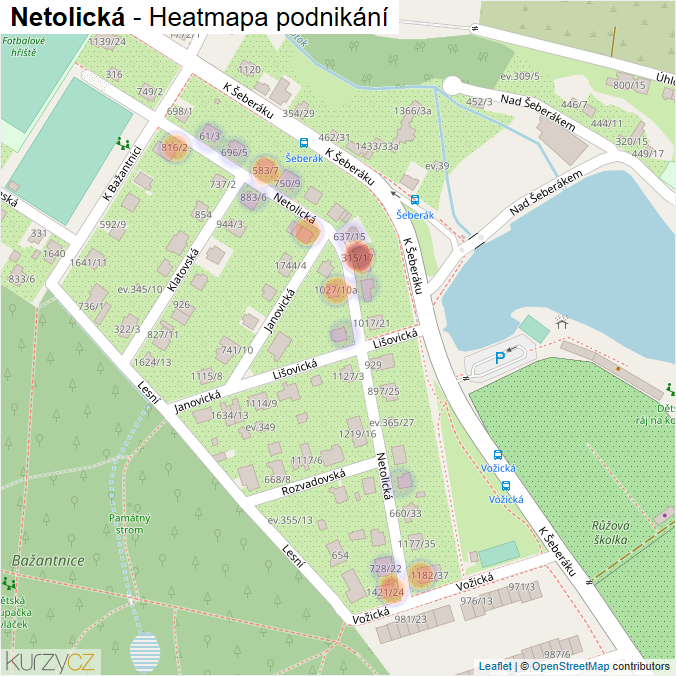 Mapa Netolická - Firmy v ulici.