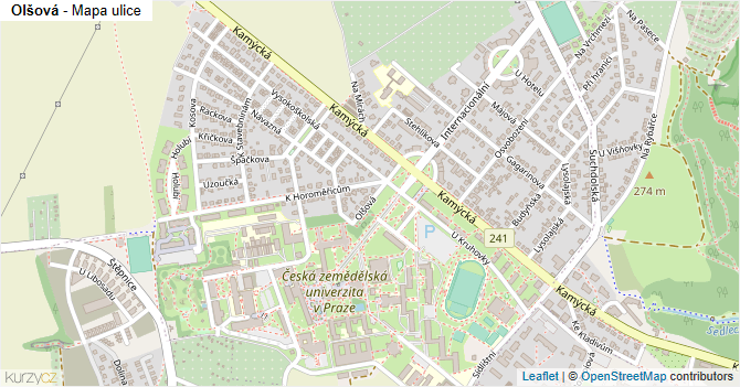 Olšová - mapa ulice