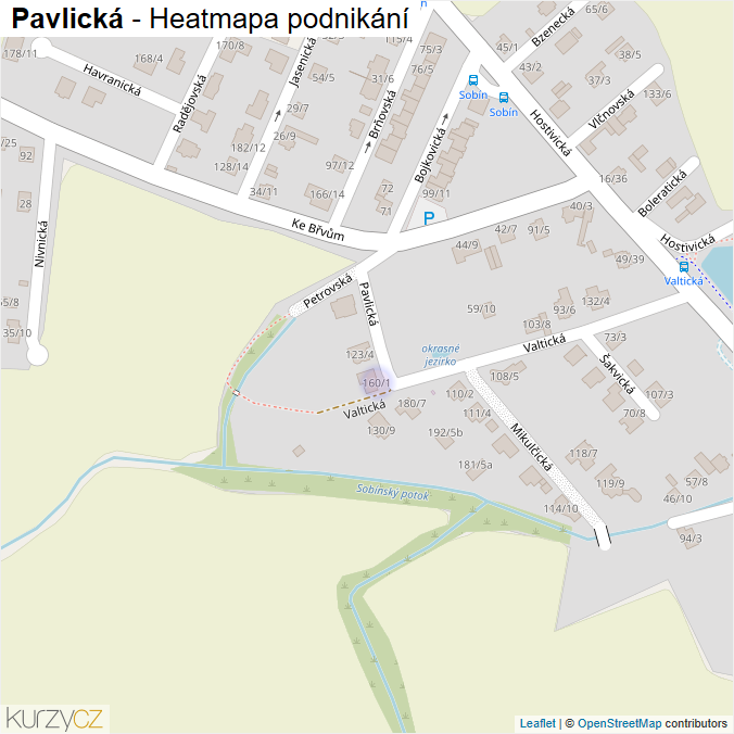 Mapa Pavlická - Firmy v ulici.