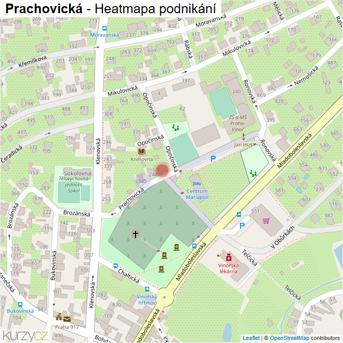 Mapa Prachovická - Firmy v ulici.