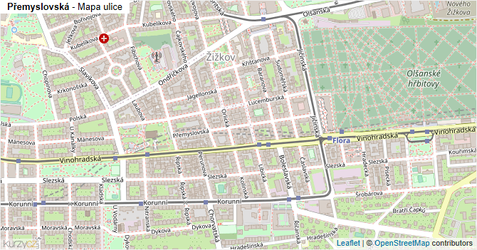 Přemyslovská - mapa ulice