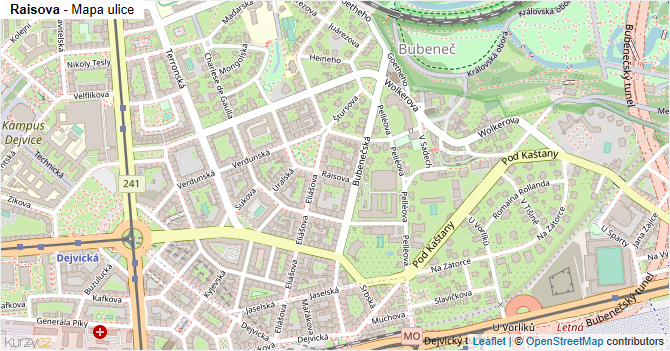 Raisova - mapa ulice