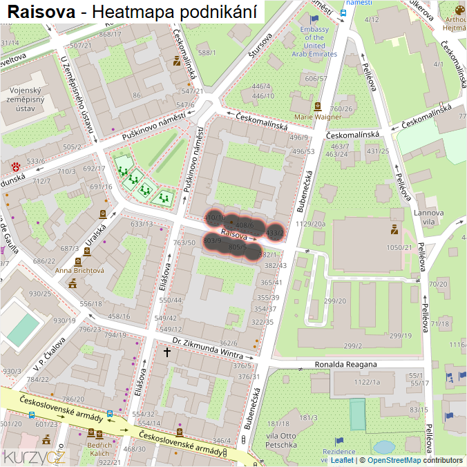 Mapa Raisova - Firmy v ulici.