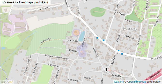 Rašínská - mapa podnikání