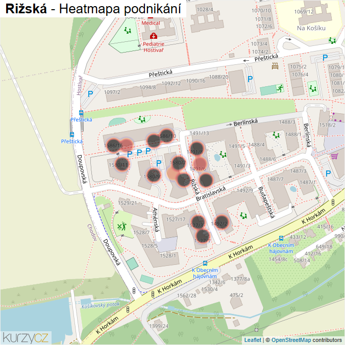 Mapa Rižská - Firmy v ulici.