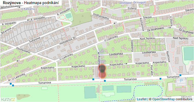 Rozýnova - mapa podnikání