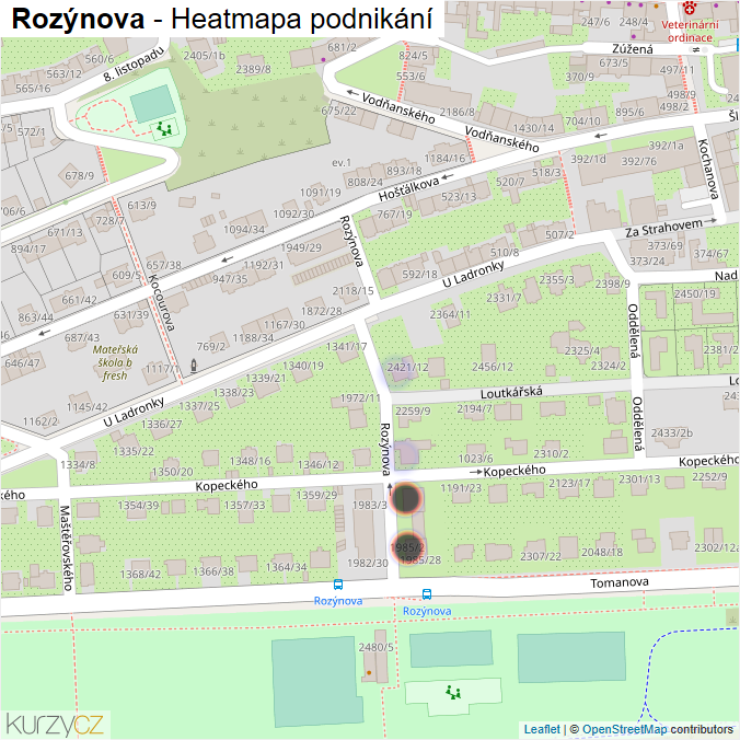 Mapa Rozýnova - Firmy v ulici.