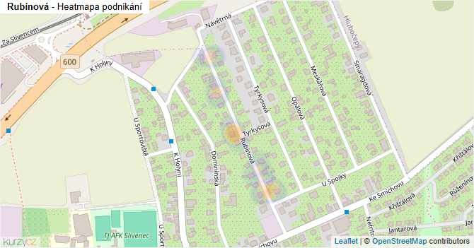 Rubínová - mapa podnikání