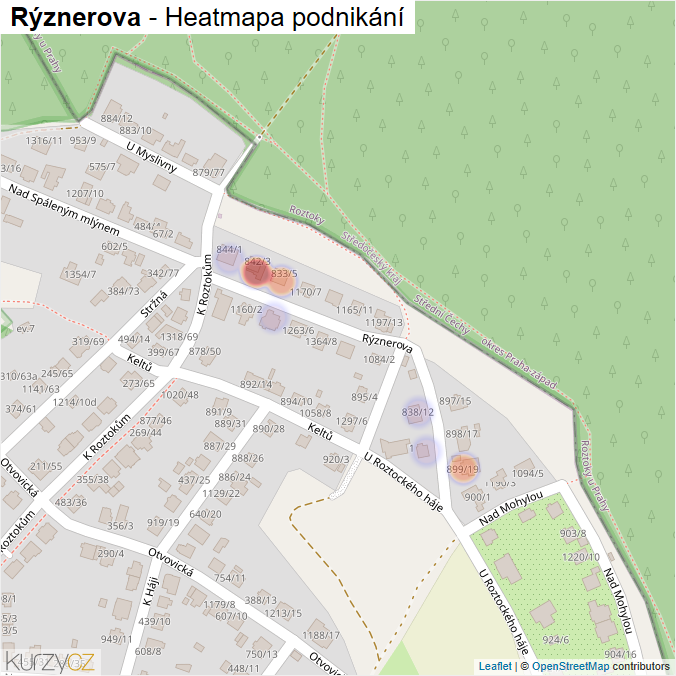 Mapa Rýznerova - Firmy v ulici.