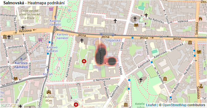 Salmovská - mapa podnikání