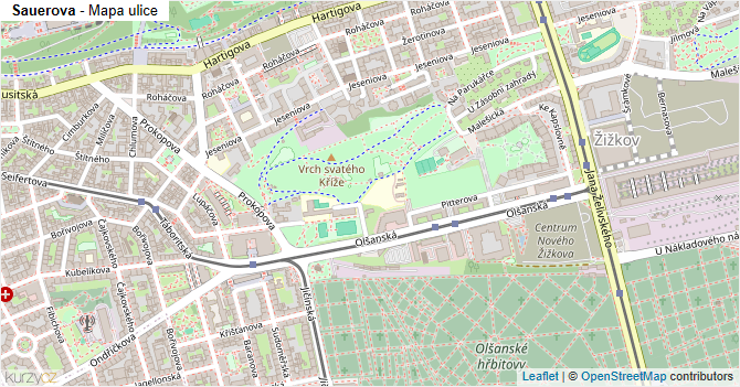 Sauerova - mapa ulice