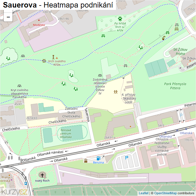 Mapa Sauerova - Firmy v ulici.
