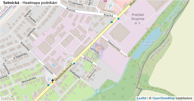 Selmická - mapa podnikání