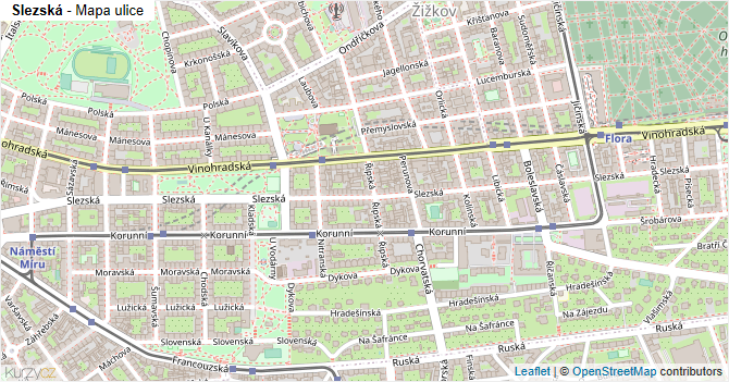 Slezská - mapa ulice